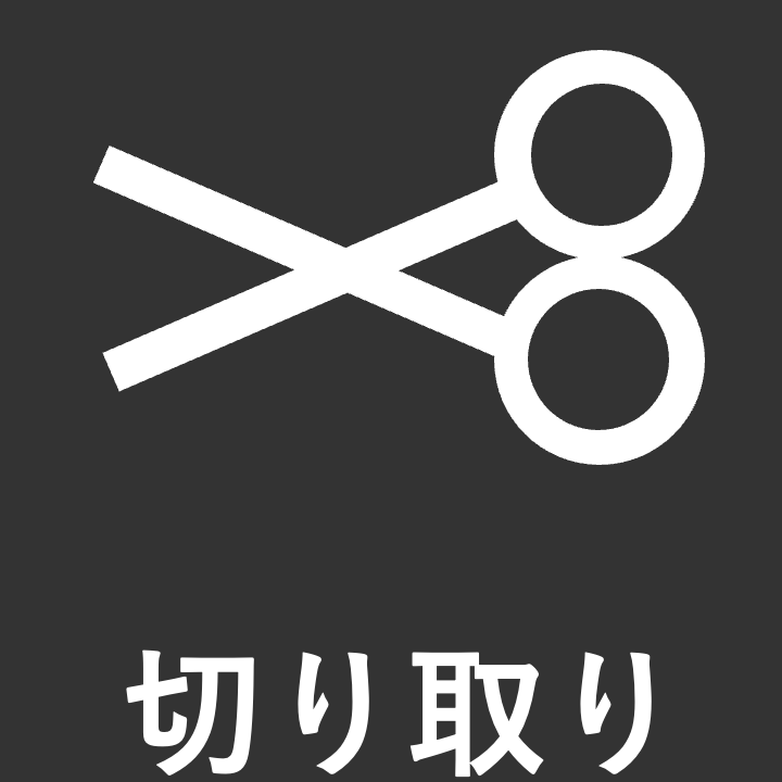 カット (Ctrl+X) カット